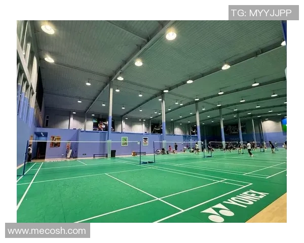 专业解读：北京羽毛球队的包夹打法