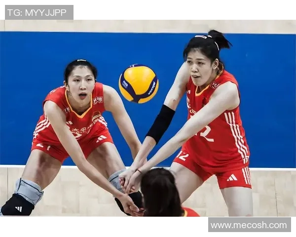 热议排球：杭州排球队的配合变革