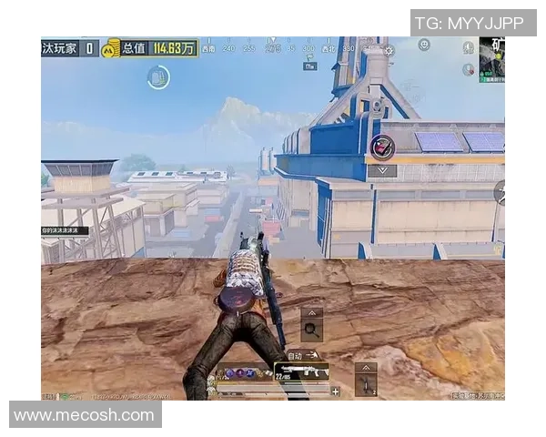 和平精英巨献：探秘TES的耐力