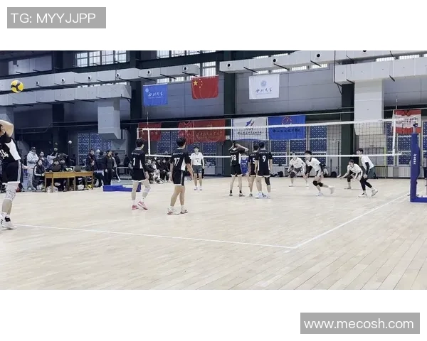 排球热点：解读西安排球队的防反