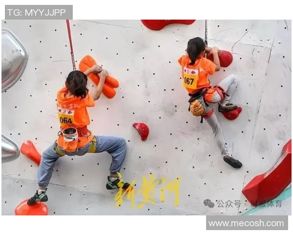 2026攀岩心理素质排行榜：广州攀岩队位居第4名
