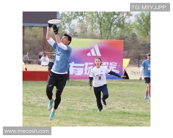 聚焦飞盘：北京飞盘队的节奏话题